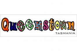 Queenstown Funky Car Sticker