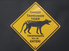 Danger Tasmanian Tiger Road Sign Large