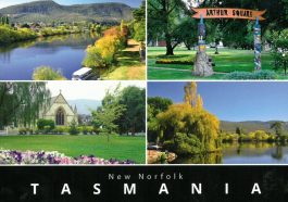 New Norfolk Tasmania Postcard