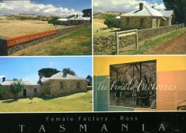 Female Factory Ross Tasmania Postcard