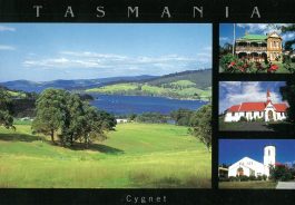 Cygnet Tasmania Postcard
