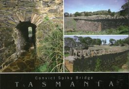 Spiky Bridge built by convicts Tasmania Postcard