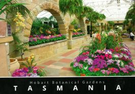 Royal Botanical Gardens Conservatory Tasmania Postcard