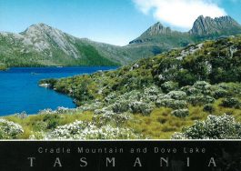 Cradle Mountain & Dove Lake Tasmania Postcard