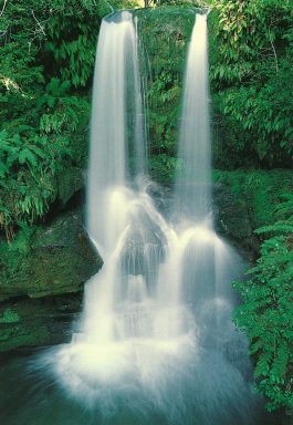 Smoko Creek Waterfall, Great Western Tiers, Tasmania blank greeting card