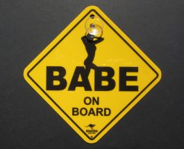 Babe on Board Car Swinger Sign