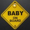 Baby on Board Car Swinger