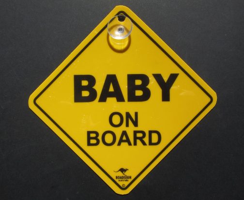 Baby on Board Car Swinger