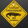 Danger Crocodiles...no swimming Car Swinger