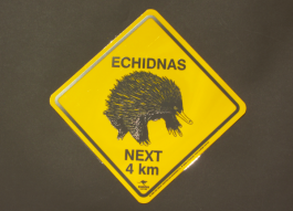 Echidna Road Sign Small