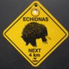 Echidnas Car Swinger