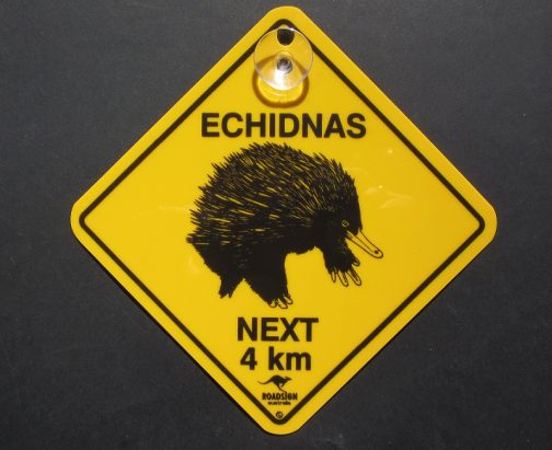 Echidnas Car Swinger