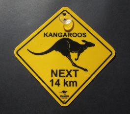 Kangaroos next 14kms Swinger Sign
