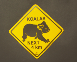 Koala Road Sign Small