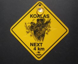 Koalas in tree Swinger Sign