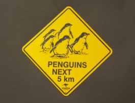Penguins Road Sign Small