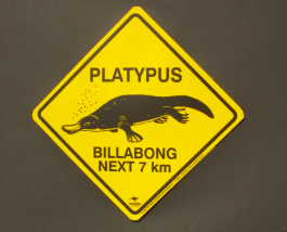 Platypus Road Sign Small