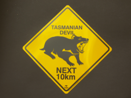 Tasmanian Devil Road Sign Large