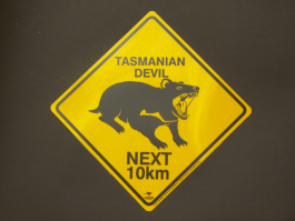 Tasmanian Devil Road Sign Small