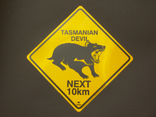 Danger Tasmanian Devil Roadsign Medium