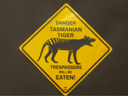 Danger Tasmanian Tiger Road Sign Small