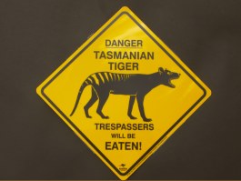 Danger Tasmanian Tiger Roadsign Medium