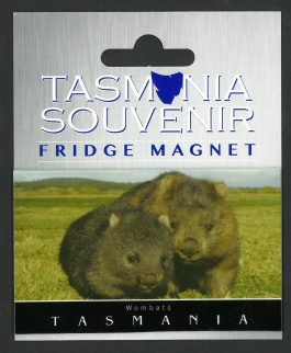 Wombats Tasmania Magnet