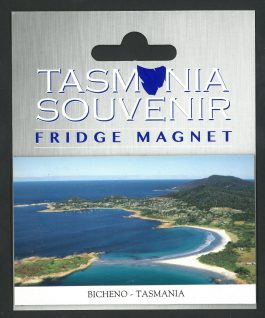 Aerial Bicheno Tasmania Magnet
