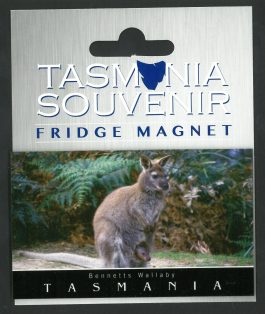 Bennetts Wallaby Tasmania Magnet