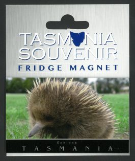 Echidna Magnet