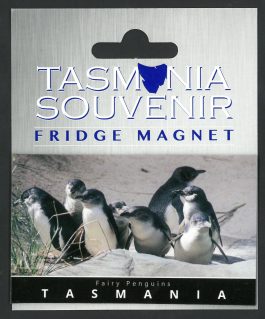 Fairy Penguins Tasmania Magnet