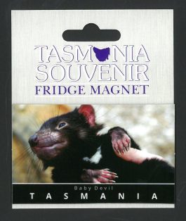 Baby Tasmanian Devil Magnet