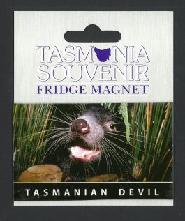 Tasmanian Devil Magnet