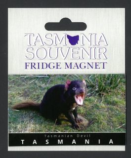 Tasmanian Devil Tasmania Magnet
