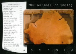 2000 Year Old Huon Pine Log Tasmania Postcard