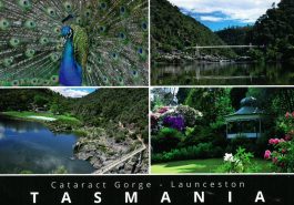 4 Views Cataract Gorge Tasmania Postcard