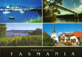 4 Views Tamar Valley Tasmania Postcard