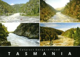 Cataract Gorge in Flood Tasmania Postcard