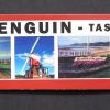 I Love Penguin Car Sticker