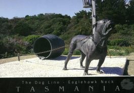 The Dog Line, Eaglehawk Neck Tasmania Postcard