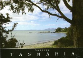 Oyster Bay Swansea Tasmania Postcard