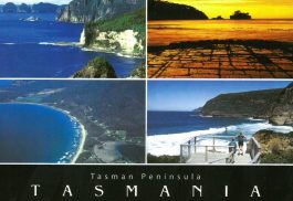 4 Scenes Tasman Peninsula Tasmania Postcard