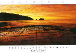 Tessellated Pavement, Eaglehawk Neck Tasmania Postcard