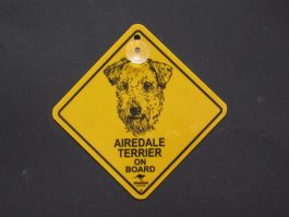 Airedale Terrier on Board Swinger Sign