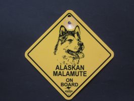 Alaskan Malamute on Board Car Swinger Sign