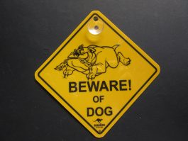 Beware of Dog Swinger Sign