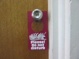 Do Not Disturb / Room Service Door Signs (Pack of 50)