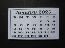 Mini Calendar Pads for 2025 (Pack of 10)