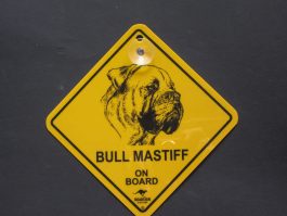 Bull Mastiff on Board Swinger Sign