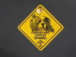 Cavalier King Charles Spaniel on Board Swinger Sign